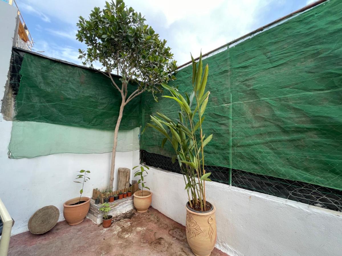 タガズー Jungle Surf Houseホステル エクステリア 写真