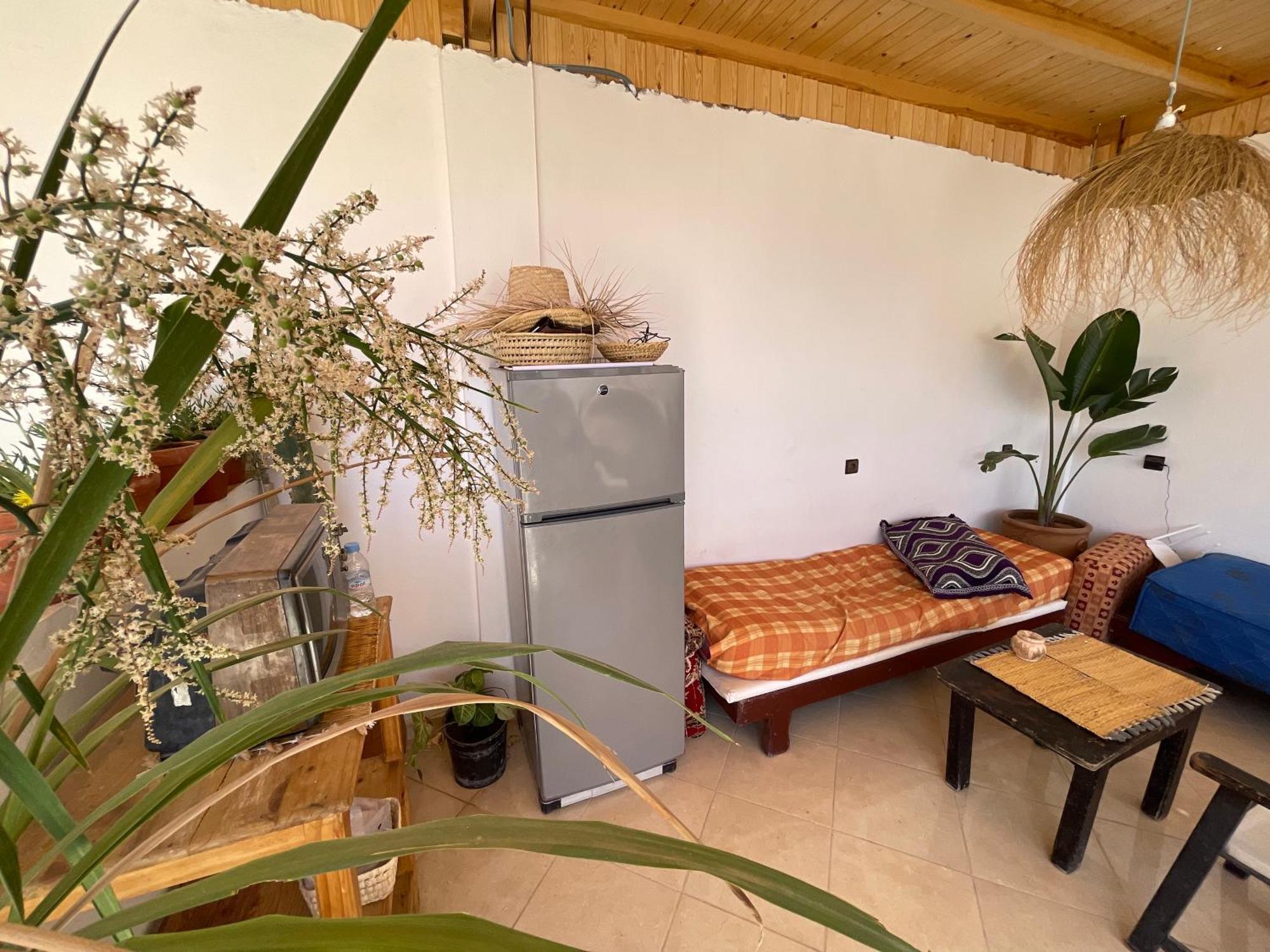 タガズー Jungle Surf Houseホステル エクステリア 写真